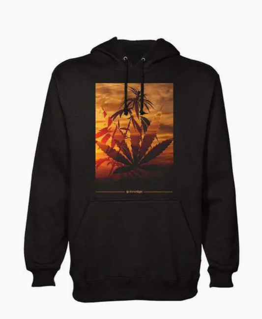 Summer Solstice Hoodie